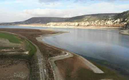 Chihuahua’da kuraklık mısır ve fasulyeyi bitirdi: Barajlar yüzde 12’ye düştü