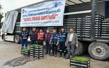 Ankara Büyükşehir’den Yerli Üretime Dev Destek: 1 Milyonu Aşan Sebze Fidesi Dağıtıldı