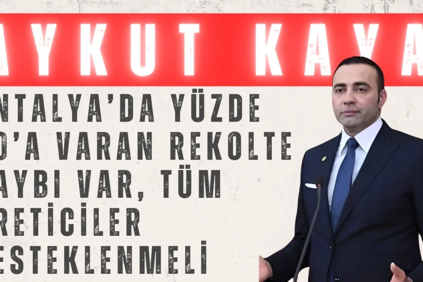 Aykut Kaya’dan Don Felaketi Çağrısı: 'Antalya’da Yüzde 90’a Varan Rekolte Kaybı Var, Tüm Üreticiler Desteklenmeli'