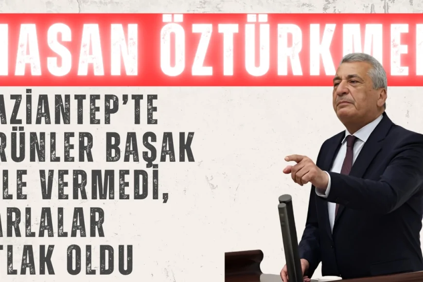 Hasan Öztürkmen’den Kuraklık Uyarısı: ‘Gaziantep’te Ürünler Başak Bile Vermedi, Tarlalar Otlak Oldu’