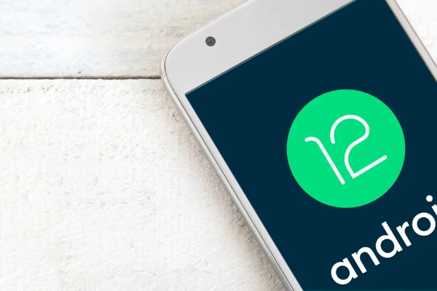 Android 12 ve 12L tamamen tarih oldu: Güvenlik güncellemesi dönemi resmen sona erdi
