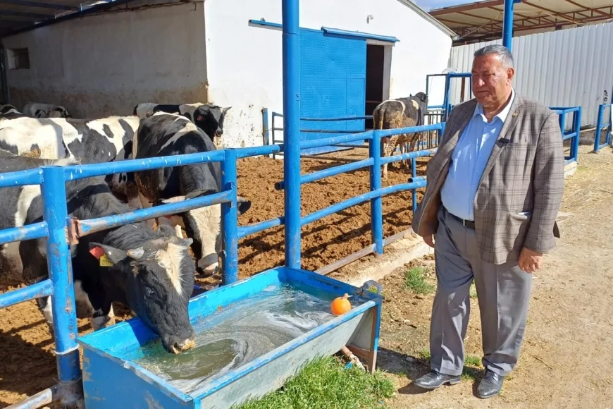 Ömer Fethi Gürer: 'Kurbanlık Fiyatları Emekli ve Asgari Ücretlinin Alım Gücünü Aştı'