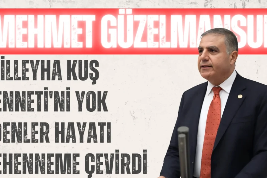 Mehmet Güzelmansur: 'Milleyha Kuş Cenneti'ni Yok Edenler Hayatı Cehenneme Çevirdi'