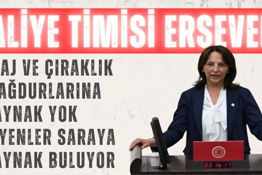 Aliye Timisi Ersever: 'Staj ve Çıraklık Mağdurlarına Kaynak Yok Diyenler Saraya Kaynak Buluyor'