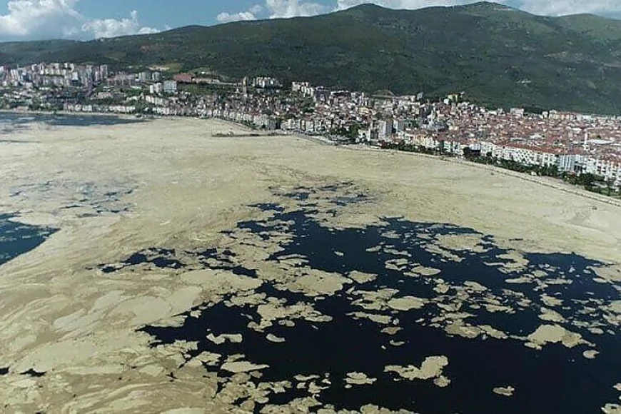 Karadeniz kıyılarında deniz salyası yeniden ortaya çıktı: Bilim insanları uyarıyor