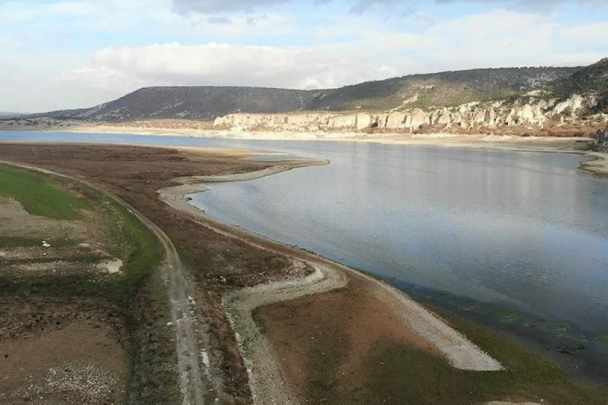 Chihuahua’da kuraklık mısır ve fasulyeyi bitirdi: Barajlar yüzde 12’ye düştü