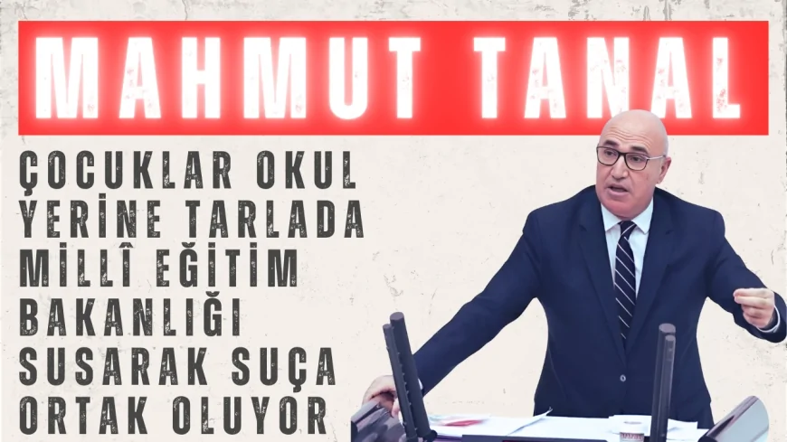 Mahmut Tanal: “Çocuklar okul yerine tarlada, Millî Eğitim Bakanlığı susarak suça ortak oluyor”