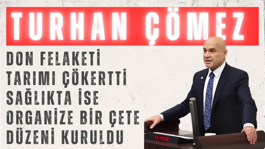 Turhan Çömez: ‘Don felaketi tarımı çökertti, sağlıkta ise organize bir çete düzeni kuruldu’