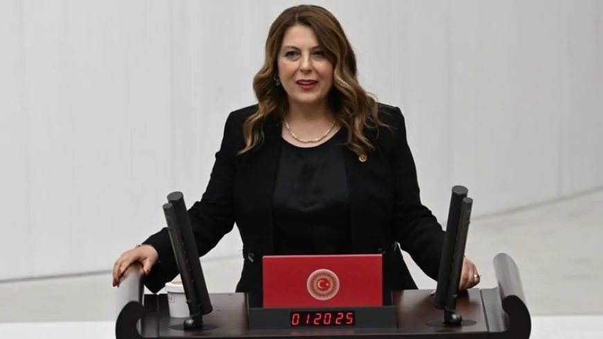 CHP'li Elvan Işık Gezmiş: 'Giresun afet bölgesi ilan edilmeli, üretici borçları ertelenmeli'