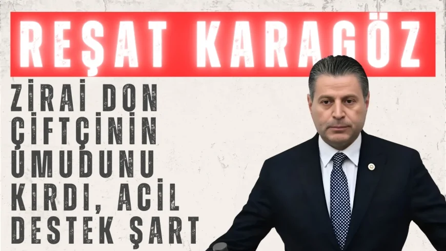 CHP Amasya Milletvekili Reşat Karagöz: 'Zirai don çiftçinin umudunu kırdı, acil destek şart'