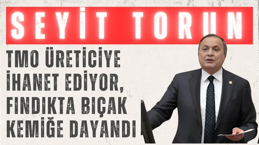 CHP’li Seyit Torun: ‘TMO üreticiye ihanet ediyor, fındıkta bıçak kemiğe dayandı’