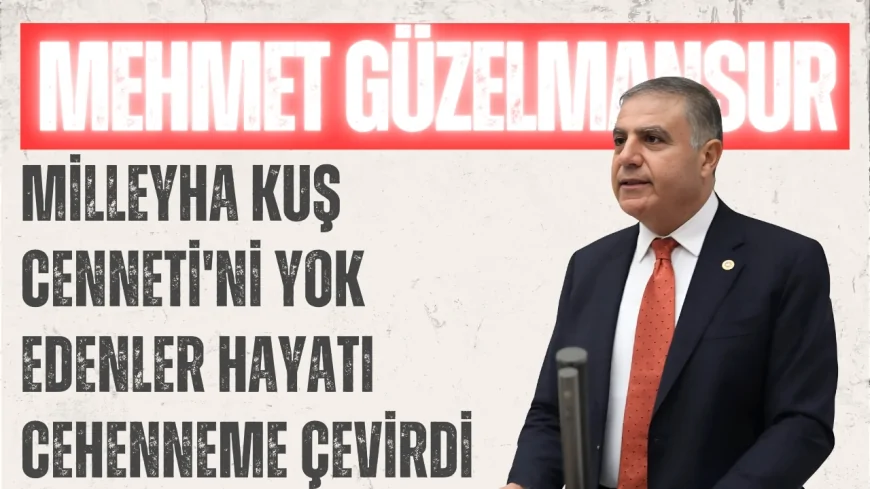 Mehmet Güzelmansur: 'Milleyha Kuş Cenneti'ni Yok Edenler Hayatı Cehenneme Çevirdi'