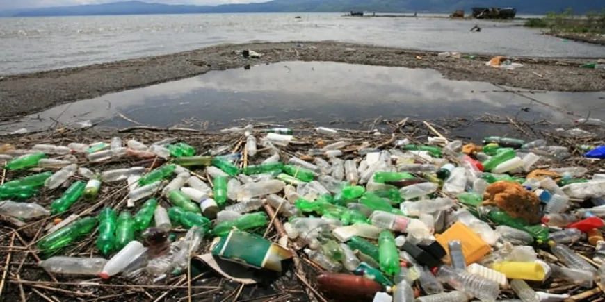 Akdeniz kıyılarında alarm veren kirlilik: Plastik atık oranı son 10 yılın zirvesinde