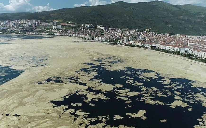 Karadeniz kıyılarında deniz salyası yeniden ortaya çıktı: Bilim insanları uyarıyor
