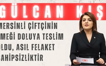 Gülcan Kış: 'Mersinli çiftçinin emeği doluya teslim oldu, asıl felaket sahipsizliktir'