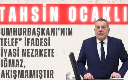 Tahsin Ocaklı: 'Cumhurbaşkanı'nın “telef” ifadesi siyasi nezakete sığmaz, yakışmamıştır'