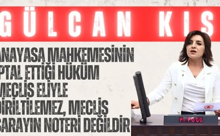 Gülcan Kış: “Anayasa Mahkemesinin iptal ettiği hüküm Meclis eliyle diriltilemez, Meclis sarayın noteri değildir”