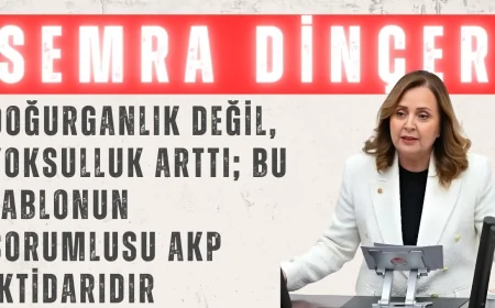 Semra Dinçer: 'Doğurganlık değil, yoksulluk arttı; bu tablonun sorumlusu AKP iktidarıdır'
