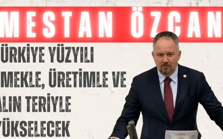 Mestan Özcan: 'Türkiye Yüzyılı emekle, üretimle ve alın teriyle yükselecek'