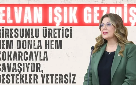 Elvan Işık Gezmiş: 'Giresunlu üretici hem donla hem kokarcayla savaşıyor, destekler yetersiz'
