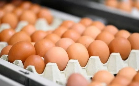 Kahverengi yumurtalar Avrupa’dan siliniyor: Üretim kısıtlaması gündemde
