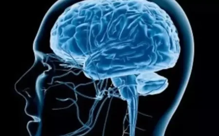 Beyin Acıyı Neden Hissetmez: Bilim İnsanlarını Bile Şaşırtan Gerçek