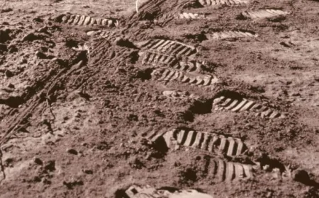 Ay'da Astronotların Ayak İzleri Neden Hâlâ Silinmedi: Bilimsel Gerçek Ortaya Kondu