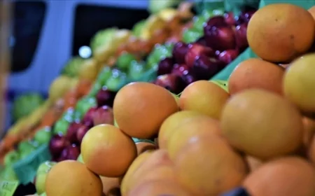 Türkiye'nin Her Bölgesine Uygun Kazançlı Meyve ve Sebzeler Açıklandı