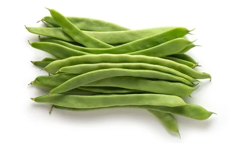 Zeytinyağlı Fasulye Kaç Kalori? Porsiyon Hesabında Dikkat Çeken Detaylar