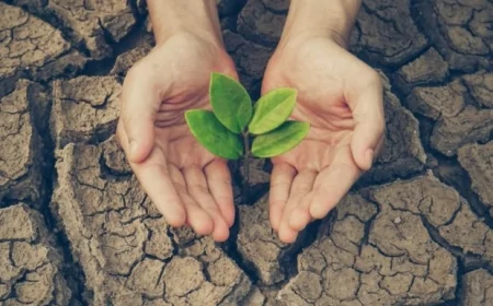 Kuraklık Haritası Tarımı Yerinden Ediyor: Üretim Isparta, Afyon ve Burdur'a Kayıyor