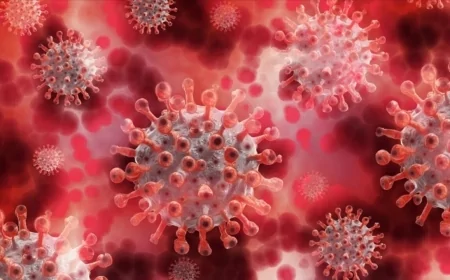 Latin Amerika'yı saran 'görünmez salgın': 3 mm'lik sinekle yayılan virüs 20 bini geçti