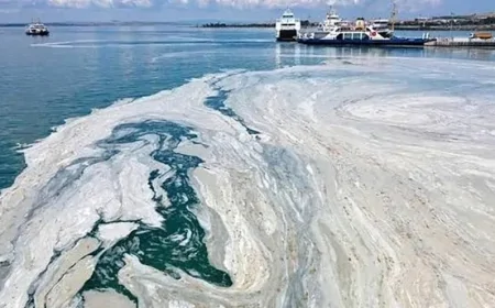 Marmara Denizi'nde Müsilaj Tehlikesi Geri Döndü: Uzmanlardan Erken Uyarı