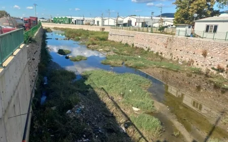 Bursa’da Zehirli Atık Alarmı: Sanayi Bölgesindeki Sızıntı Dereyi Kirletti