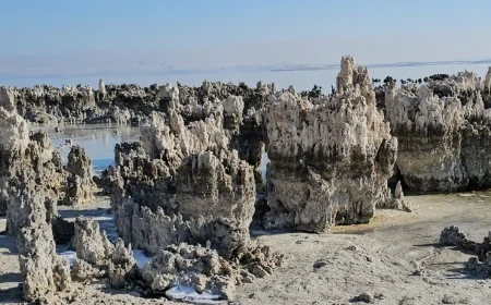 Van Gölü’nde Su Seviyesi 40 Yılın En Düşük Noktasında: Kuraklık Alarmı Verildi