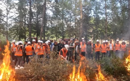 Ege'de Orman Yangını Tatbikatı Yapıldı: 5 İl Aynı Anda Alarm Durumuna Geçti