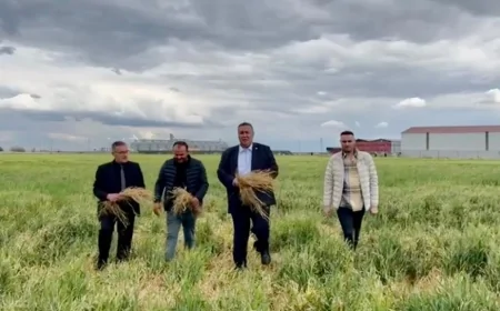 CHP Milletvekili Ömer Fethi Gürer: 'TMO ithalatı bırakıp çiftçinin kara gün dostu olmalı'