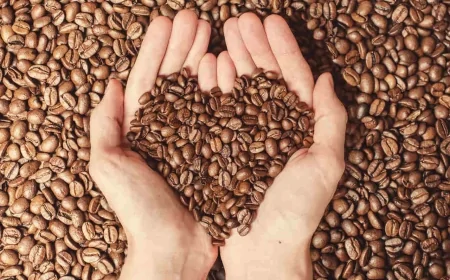 Günde 2-3 Fincan Kahve Sağlığa Faydalı Olabilir Ama Fazlası Risk Taşıyor