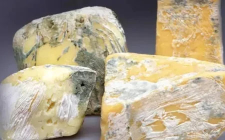 Kaşar peynirini çöpe atmaktan kurtaran yöntem ortaya çıktı: Küflenmeye karşı sirke mucizesi!