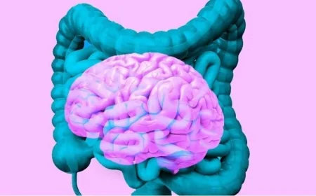 Bağırsaklardaki gizli ordu beyni nasıl etkiliyor: Bilim insanlarından çarpıcı açıklamalar