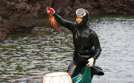 Güney Koreli kadın dalgıçların genetik sırrı çözüldü: Nesiller boyu deniz altına evrim mi geçirdiler?