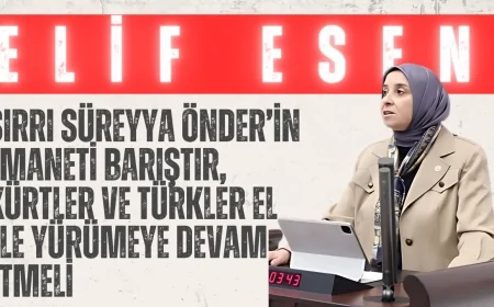 DEVA Partili Elif Esen: ‘Sırrı Süreyya Önder’in Emaneti Barıştır, Kürtler ve Türkler El Ele Yürümeye Devam Etmeli’