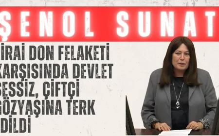 İYİ Parti’li Şenol Sunat: ‘Zirai Don Felaketi Karşısında Devlet Sessiz, Çiftçi Gözyaşına Terk Edildi’