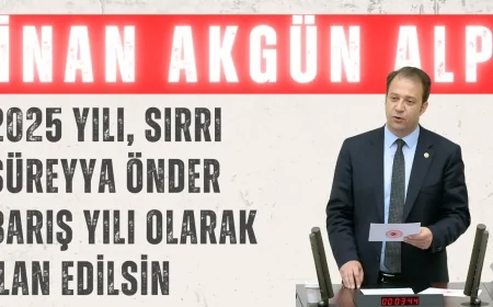 CHP’li İnan Akgün Alp: ‘2025 Yılı, Sırrı Süreyya Önder Barış Yılı Olarak İlan Edilsin’