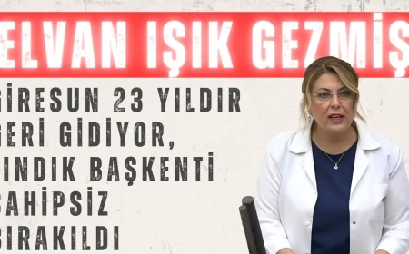 CHP’li Elvan Işık Gezmiş: ‘Giresun 23 Yıldır Geri Gidiyor, Fındık Başkenti Sahipsiz Bırakıldı’