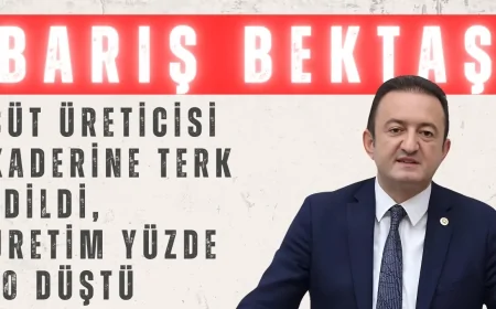 CHP’li Barış Bektaş: ‘Süt Üreticisi Kaderine Terk Edildi, Üretim Yüzde 10 Düştü’