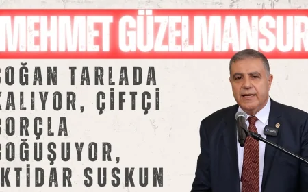 CHP’li Mehmet Güzelmansur: ‘Soğan Tarlada Kalıyor, Çiftçi Borçla Boğuşuyor, İktidar Suskun’