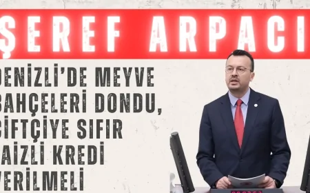 CHP’li Şeref Arpacı: ‘Denizli’de Meyve Bahçeleri Dondu, Çiftçiye Sıfır Faizli Kredi Verilmeli’