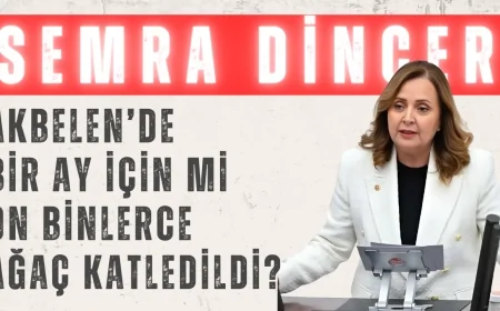CHP’li Semra Dinçer: ‘Akbelen’de Bir Ay İçin Mi On Binlerce Ağaç Katledildi?’
