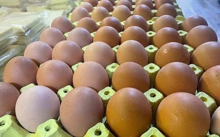 Et, Süt, Yumurta Artık Ayda Bir Alınabiliyor: Gıda Enflasyonu Sofraları Boş Bırakıyor