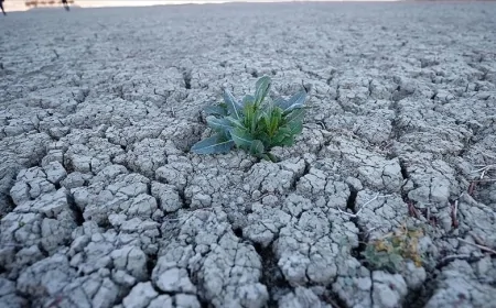 Kuraklık Derinleşiyor: Türkiye'de Su Krizi Uyarıları Giderek Şiddetleniyor
